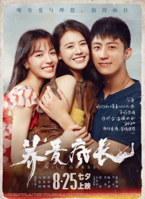 小说区 图片区